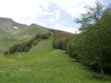 Clicca qui per vedere l'immagine in dettaglio